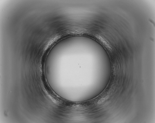 X0000091540634200708171011