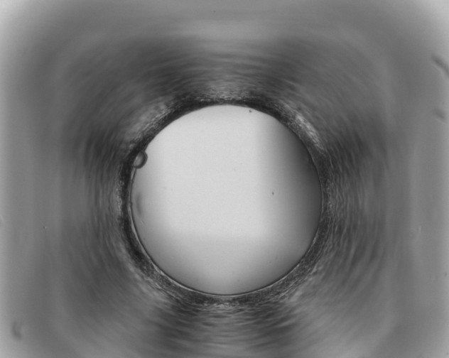 X0000091540635200708171011