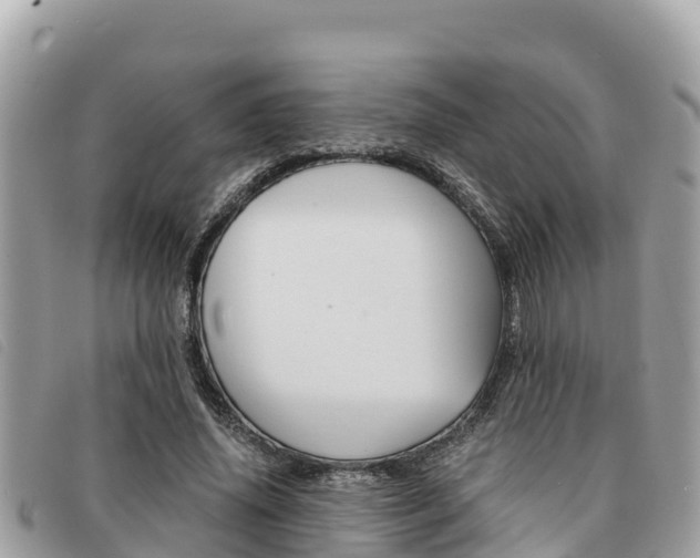 X0000091540636200708171011