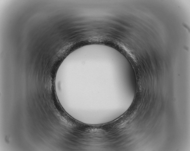 X0000091540637200708171011