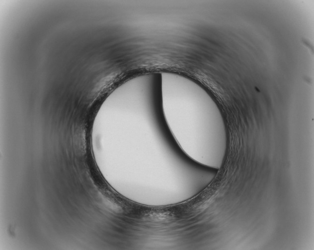 X0000091540638200708171011