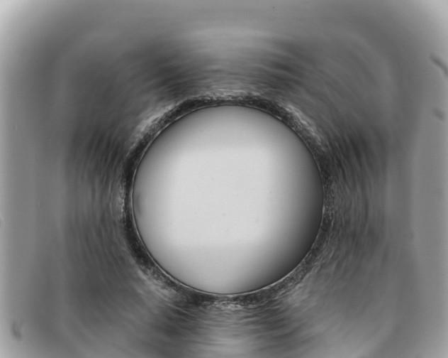 X0000091540640200708171011