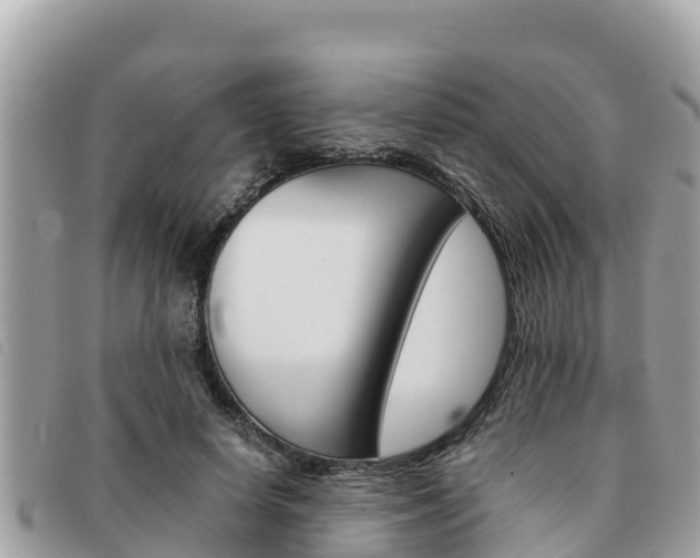 X0000091540642200708171011