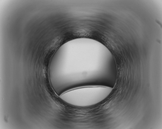 X0000091540643200708171011