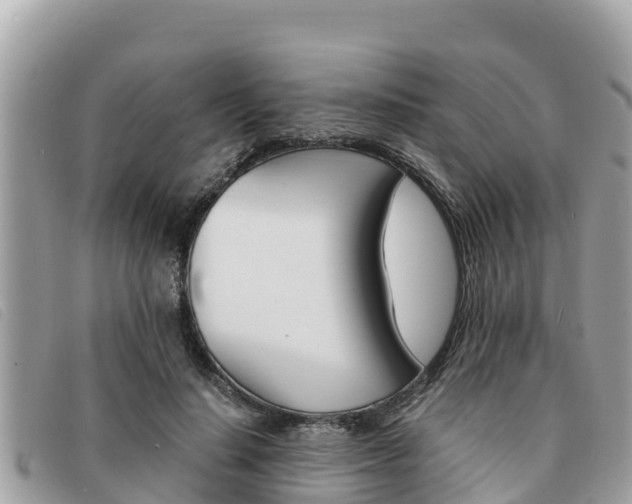 X0000091540644200708171011