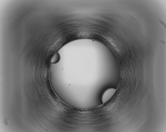 X0000091540645200708171011