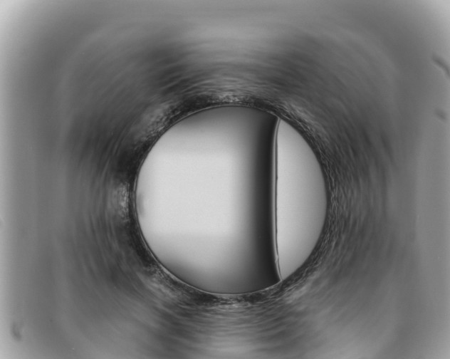 X0000091540646200708171011