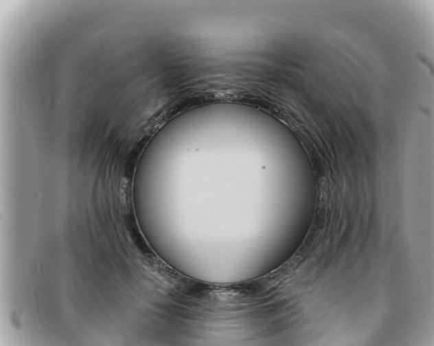 X0000091540650200708171011