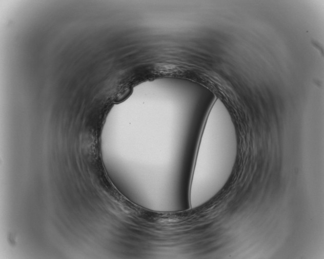 X0000091540653200708171011
