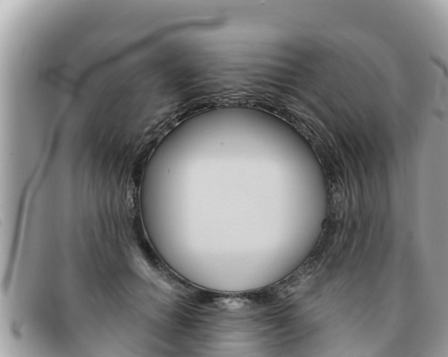X0000091540654200708171011