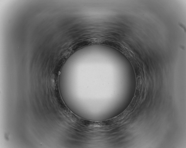 X0000091540655200708171011