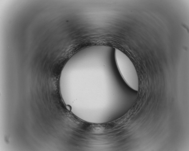 X0000091540658200708171011