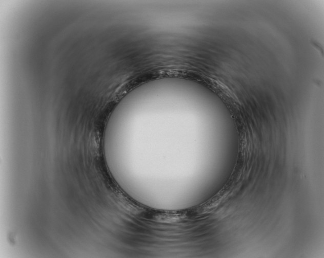 X0000091540661200708171011
