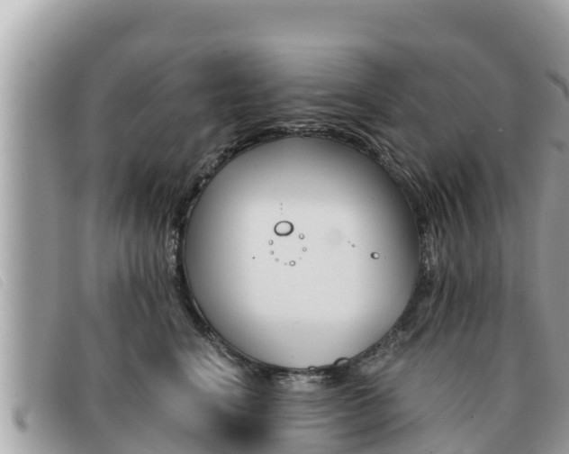 X0000091540664200708171011