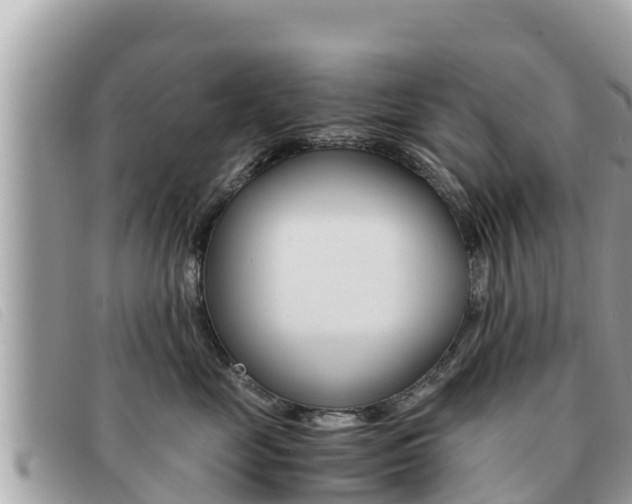 X0000091540669200708171011