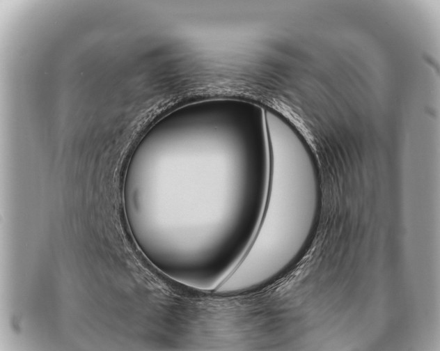 X0000091540673200708171010