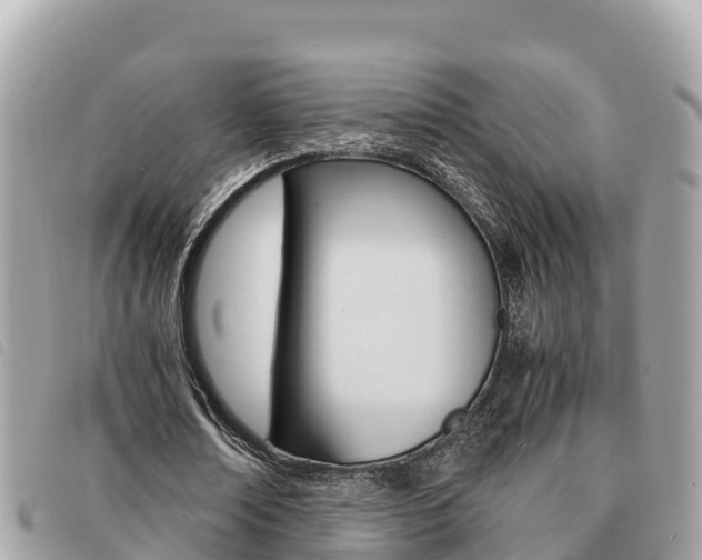 X0000091540674200708171010