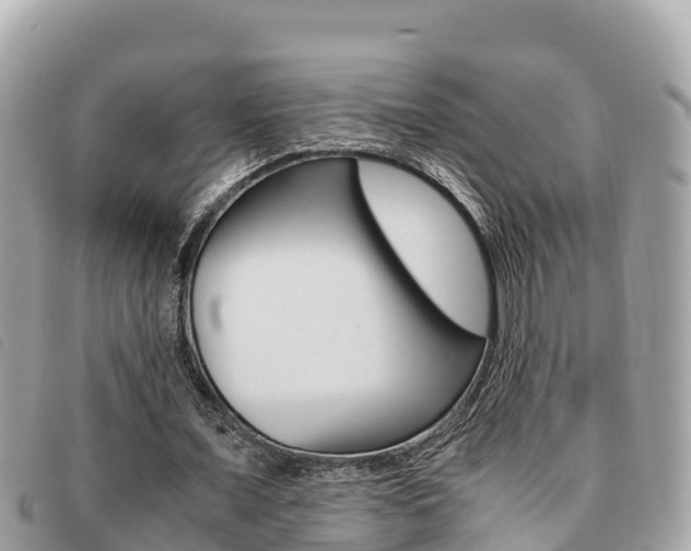 X0000091540675200708171010
