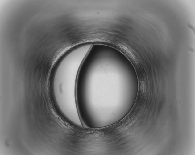 X0000091540676200708171010
