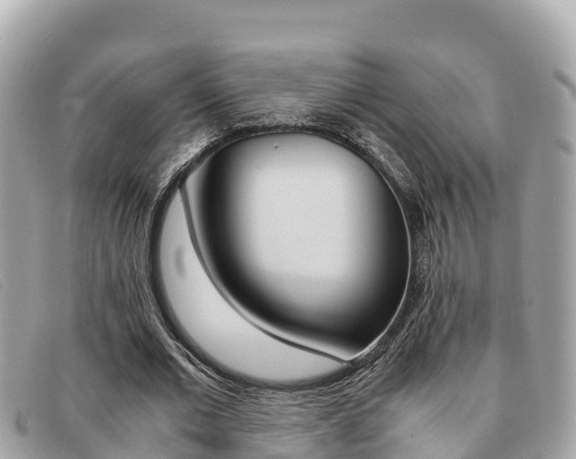 X0000091540677200708171010