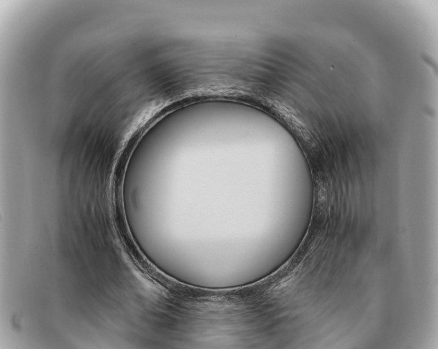 X0000091540678200708171010