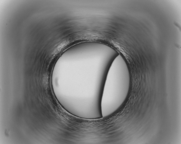 X0000091540679200708171010