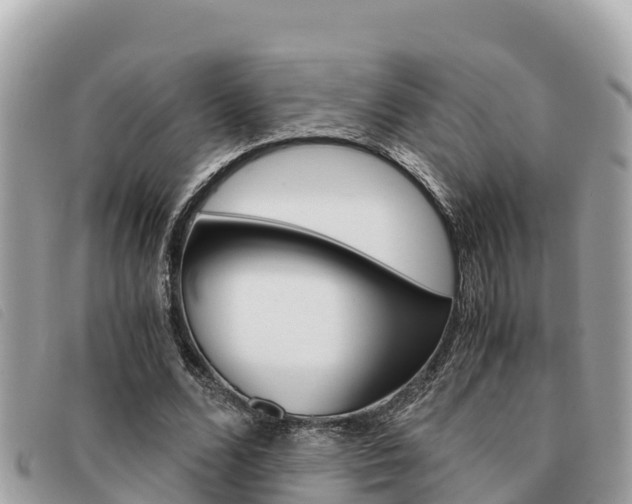 X0000091540680200708171010