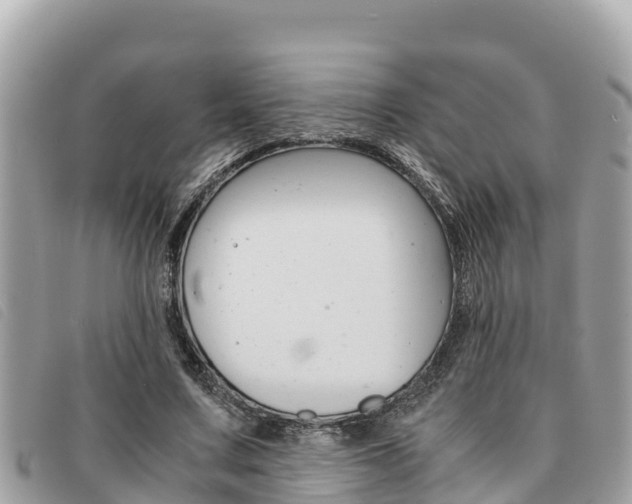 X0000091540683200708171010