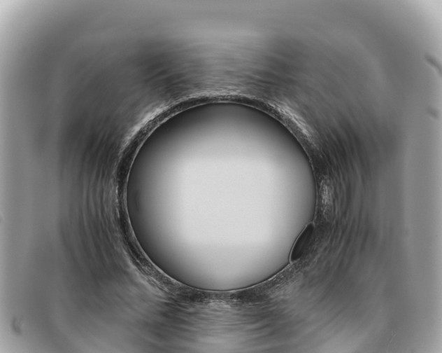 X0000091540684200708171010