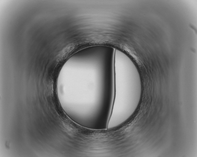 X0000091540685200708171010