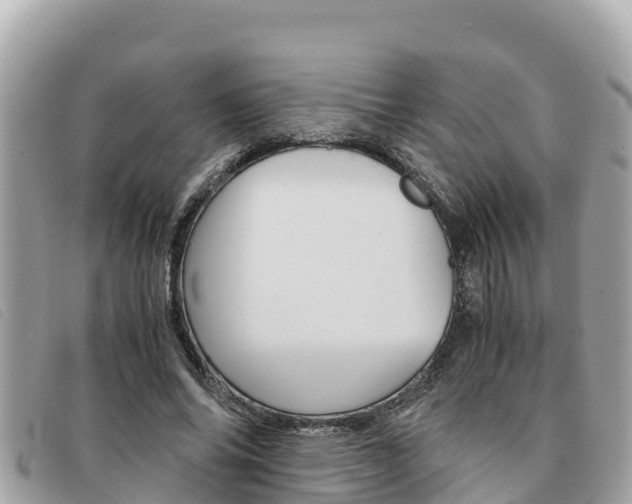 X0000091540686200708171010