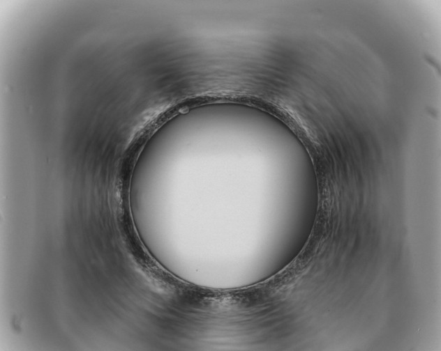 X0000091540688200708171010
