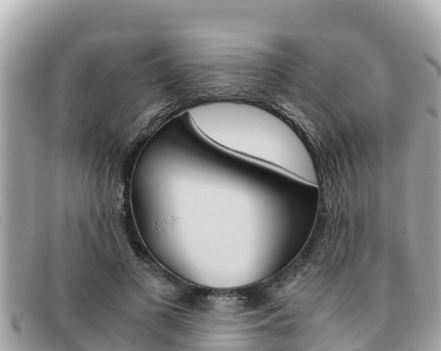 X0000091540693200708171010