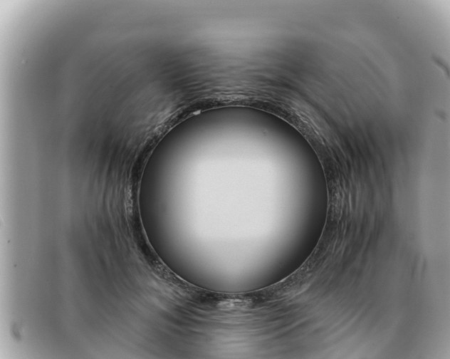 X0000091540700200708171010