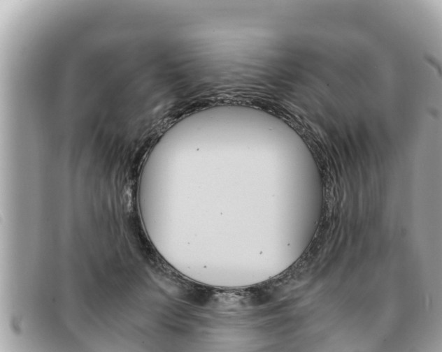 X0000091540703200708171010
