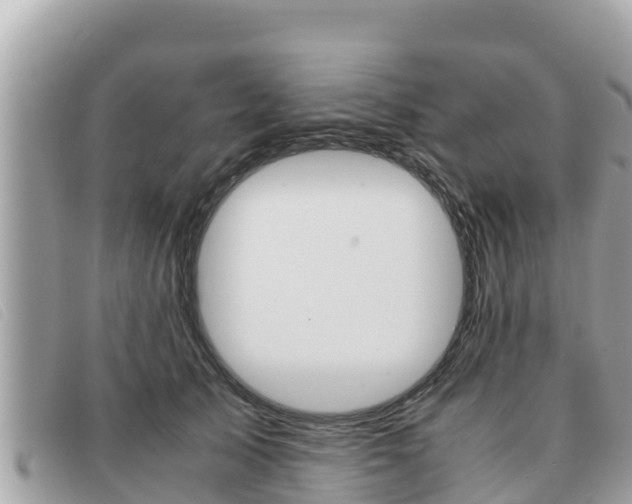 X0000091540705200708171010