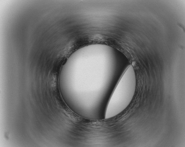 X0000091540708200708171010