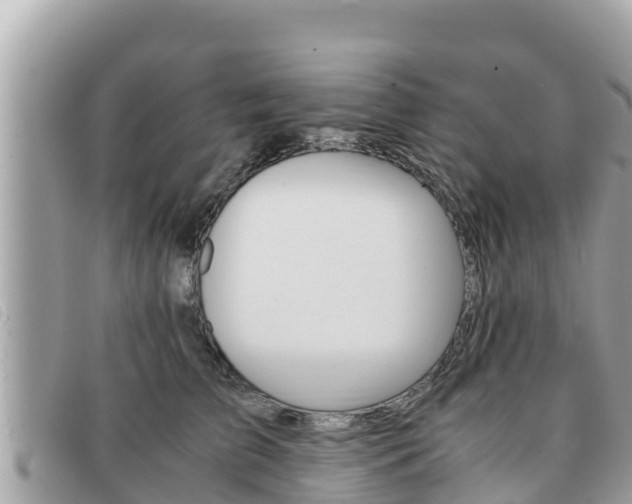 X0000091540709200708171010