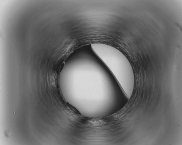 X0000091540712200708171010