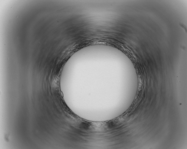 X0000091540713200708171010