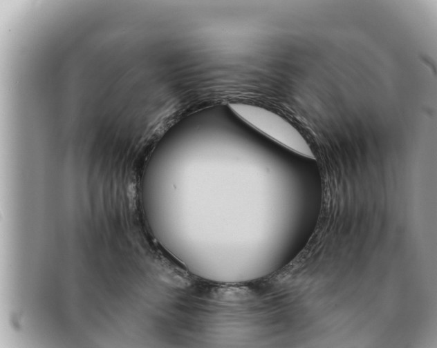 X0000091540716200708171010