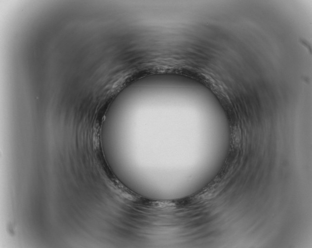 X0000091540719200708171010