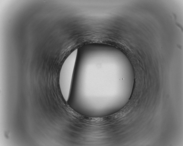 X0000091540720200708171010
