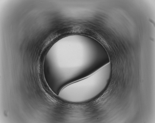 X0000091540722200708171009
