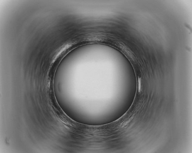X0000091540723200708171009