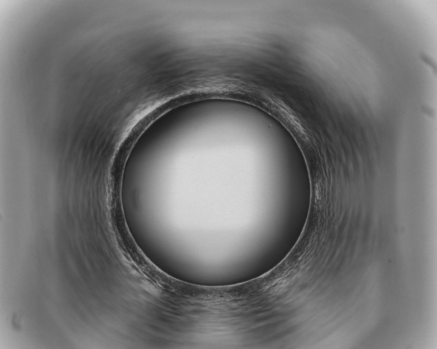X0000091540724200708171009
