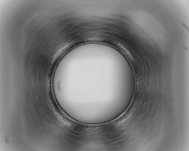 X0000091540725200708171009