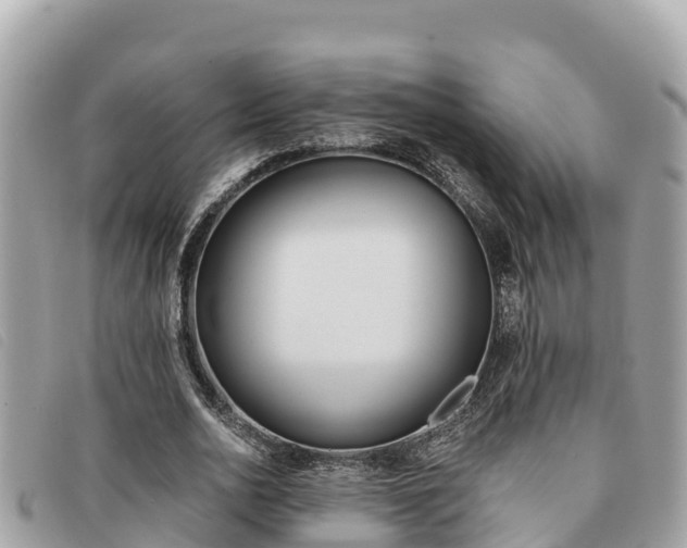 X0000091540726200708171009