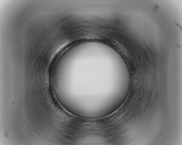 X0000091540727200708171009