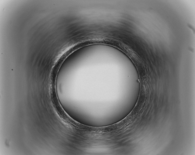 X0000091540728200708171009